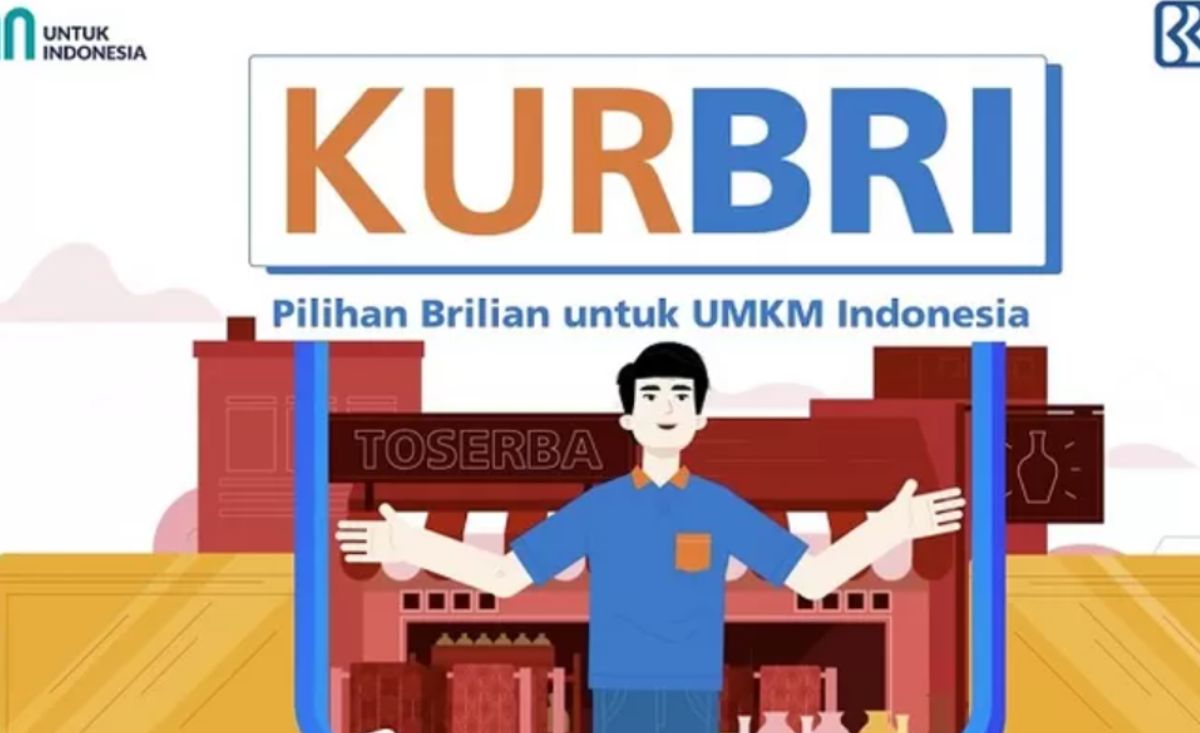 Kredit Usaha Rakyat (KUR) Mikro vs KUR Kecil BRI: Mana yang Cocok untuk Bisnismu?