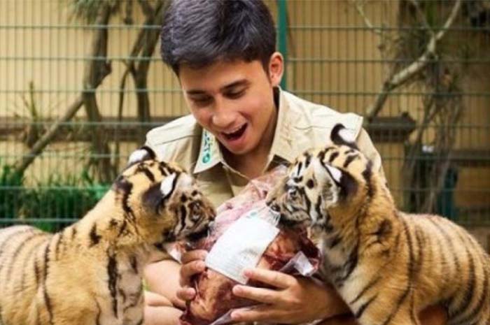 Duka Alshad Ahmad, Harimau Kesayangannya Meninggal Dunia: Rekan Artis Meratapi, Netizen Geregetan