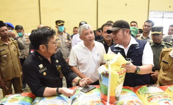 Stok Beras Aman, Gubernur Sumsel dan Menteri Pertanian Tinjau Produksi di Desa Pegayut