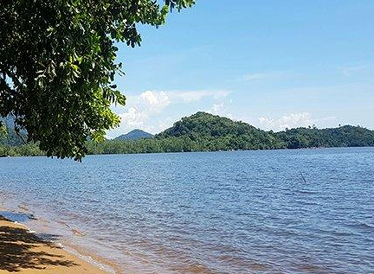 Menaklukkan Tantangan Gunung Sembilan di Kalimantan Barat: Surga bagi Pendaki dan Pecinta Alam