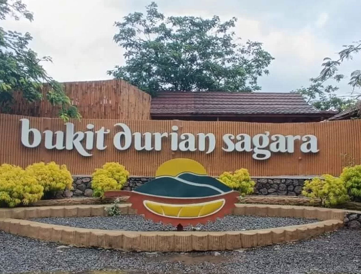 Keindahan Bukit Durian Sagara di Sukabumi: Surga Pecinta Durian dan Panorama Alam