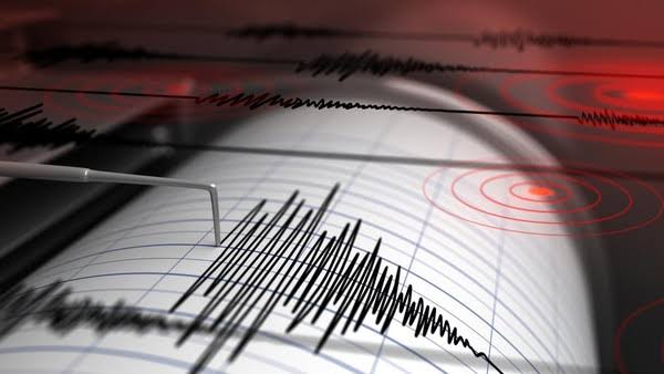 Gempa M 4,6 Guncang Maluku Tenggara Barat Ini Kata BMKG