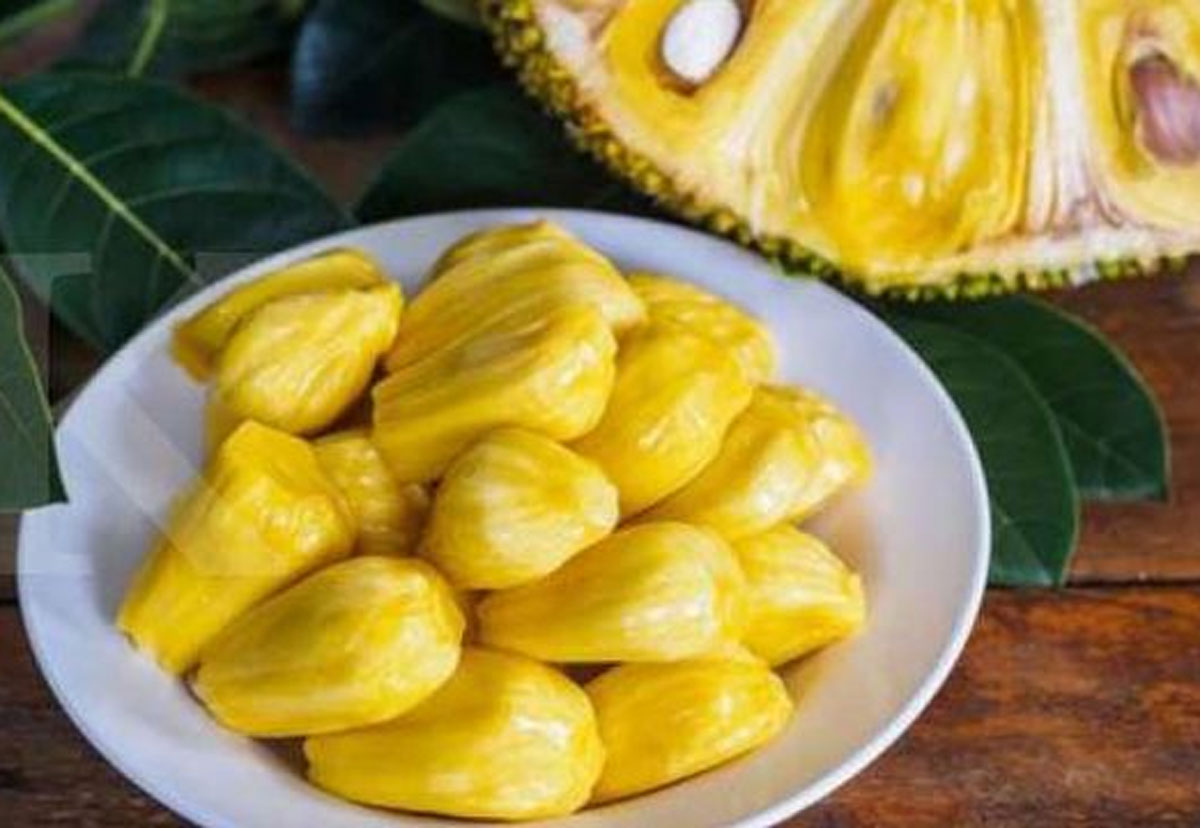 Tak Hanya Aroma, Tapi Juga Kesehatan: Inilah Rahasia Buah Nangka yang Perlu Anda Diketahui