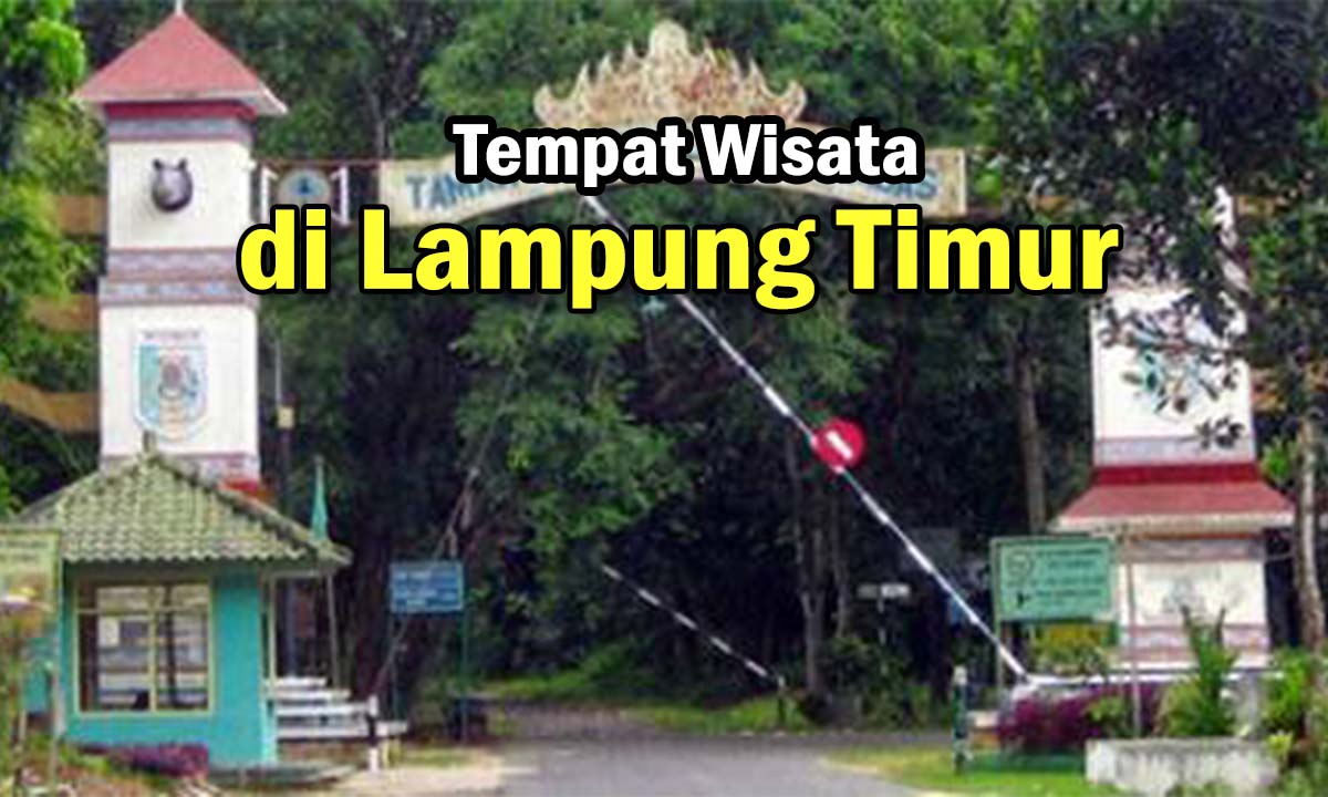 Ini nih! Tempat Wisata yang Lagi Hits di Kota Lampung, Tiket Masuknya Sangat Murah Lho !