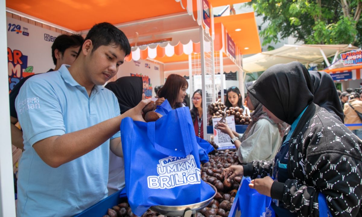 Pemberdayaan BRI Dongkrak Bisnis Salak Desa Kutambaru Menjadi Penggerak Ekonomi Desa