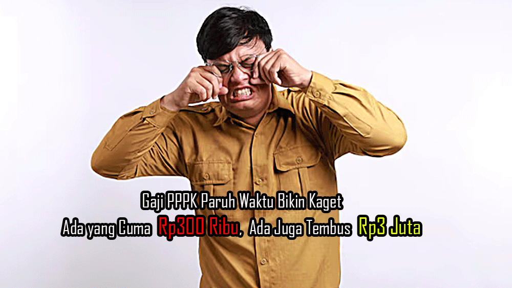 Gaji PPPK Paruh Waktu Bikin Kaget: Ada yang Cuma Rp300 Ribu, Ada Juga Tembus Rp3 Juta!
