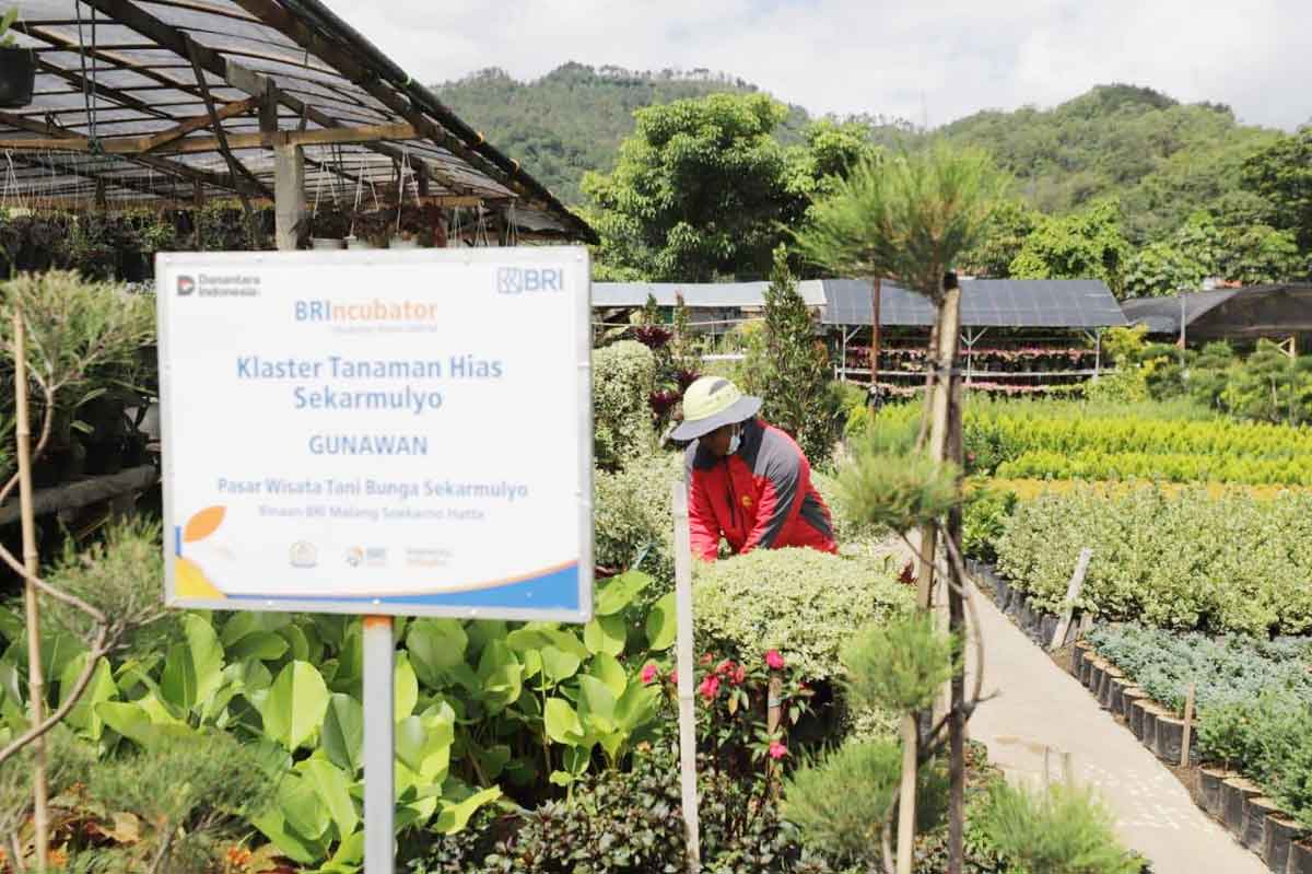 Perkuat Ekonomi Kerakyatan, BRI Berdayakan 41 Ribu Klaster Usaha melalui Pembiayaan dan Literasi Keuangan