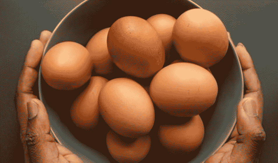 Telur Ayam Kampung vs Organik: Mana yang Benar-Benar Lebih Sehat untuk Tubuh?