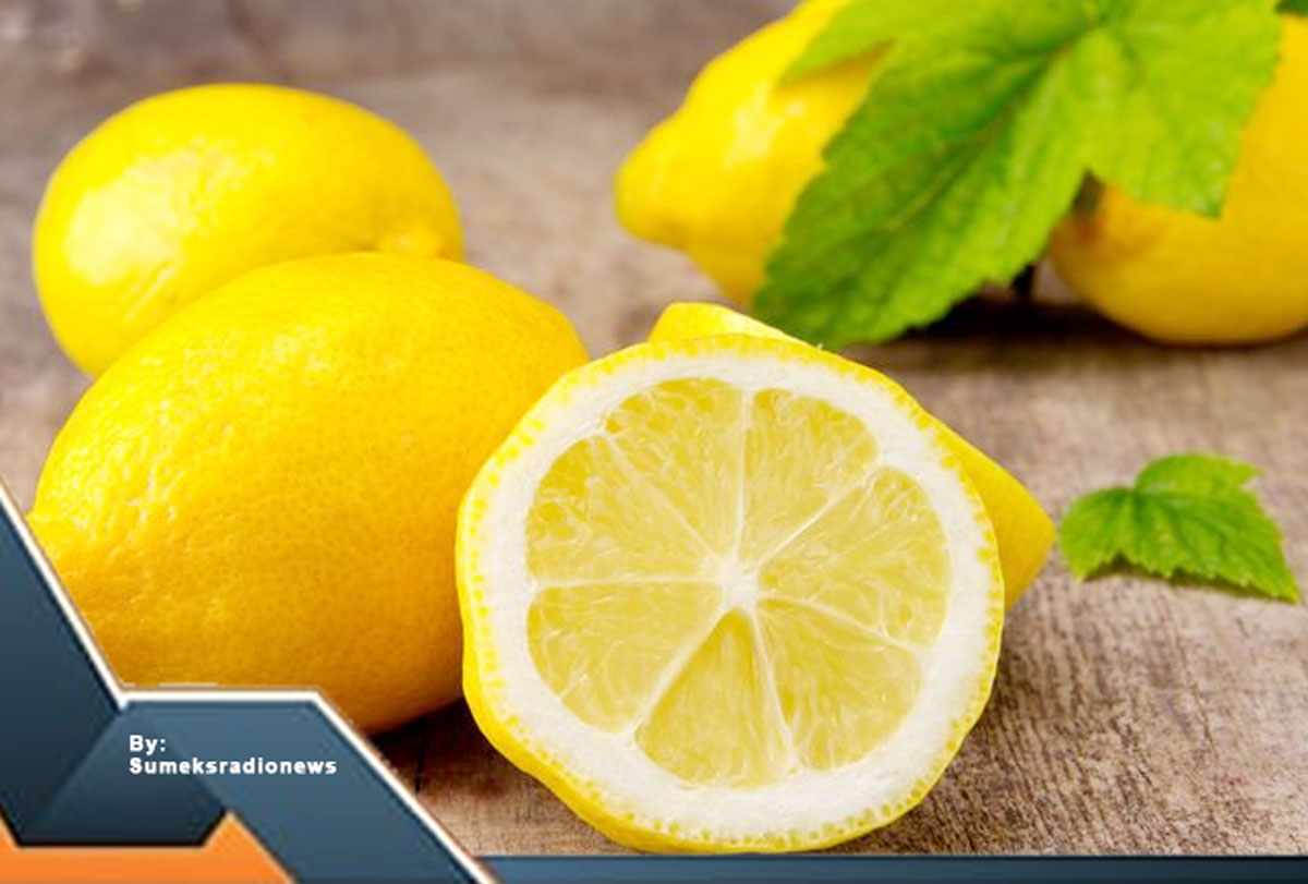 Jeruk Lemon: Segarnya Tak Terbantahkan, Manfaat untuk Kesehatan & Kepopuleran - Intip Yuk!