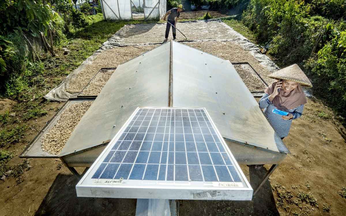 BRI Perkuat Komitmen terhadap SDGs demi Menjadi World-Class Sustainable Banking Group