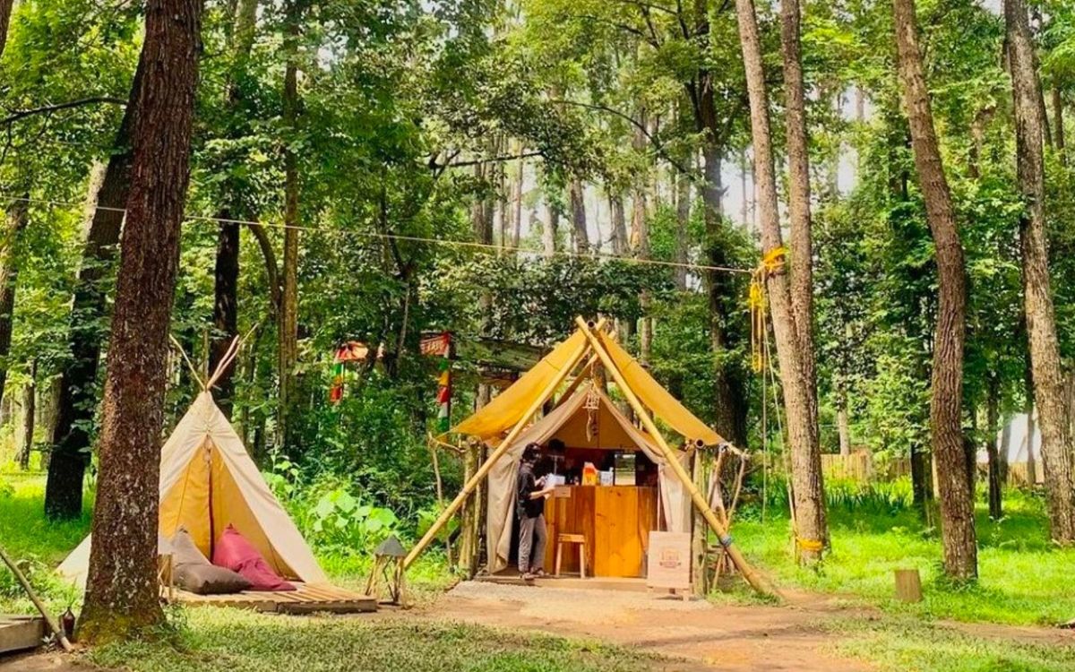 Hutan Wisata Punti Kayu: Alternatif Liburan Keluarga di Tengah Kota Palembang