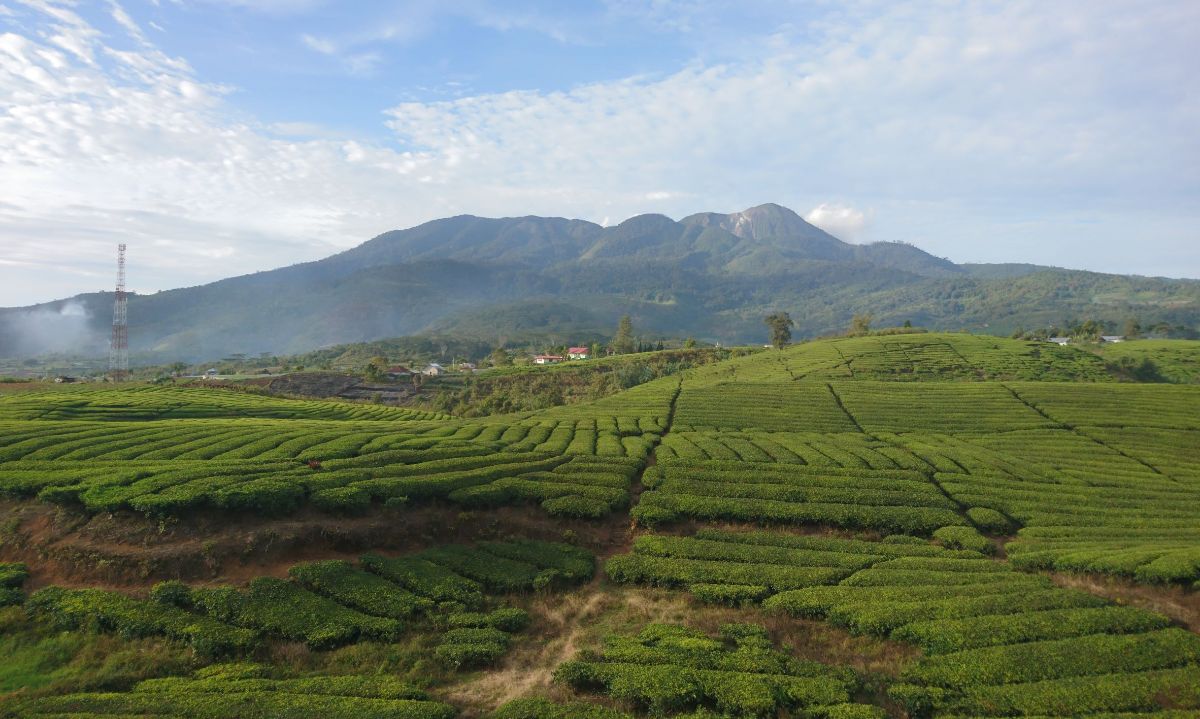 Gunung Talang, Keindahan dan Ancaman di Sumatera Barat