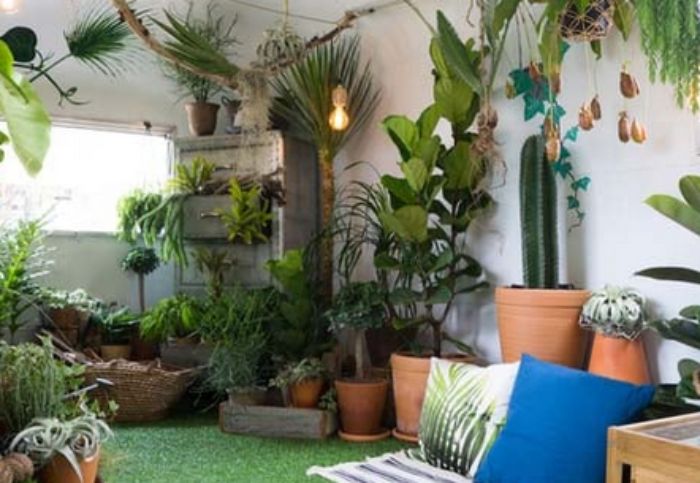 Wujudkan Impian! Buat Rumah Lebih Segar dengan Taman Indoor! Ini Dia Tips & Trik Terbaik dalam Merancangnya