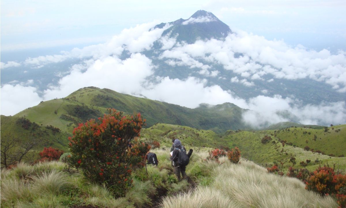 Argapura! Eksplorasi Misteri Puncak Tertinggi dan Pesona Tersembunyi di Jantung Jawa Timur