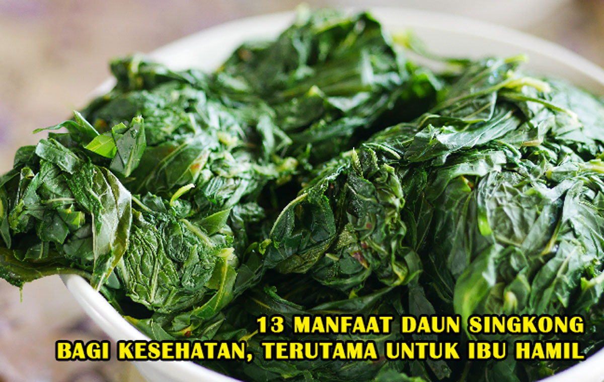 Banyak yang Belum Tahu! 13 Manfaat Daun Singkong Bagi Kesehatan, Terutama untuk Ibu Hamil, Ayo Telusuri!