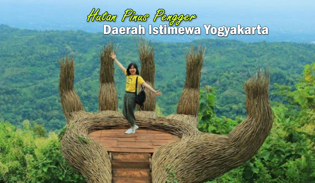 Destinasi Wisata No 1 di Yogyakarta, Hutan Pinus Pengger Wisata Alam Yang Mempesona !