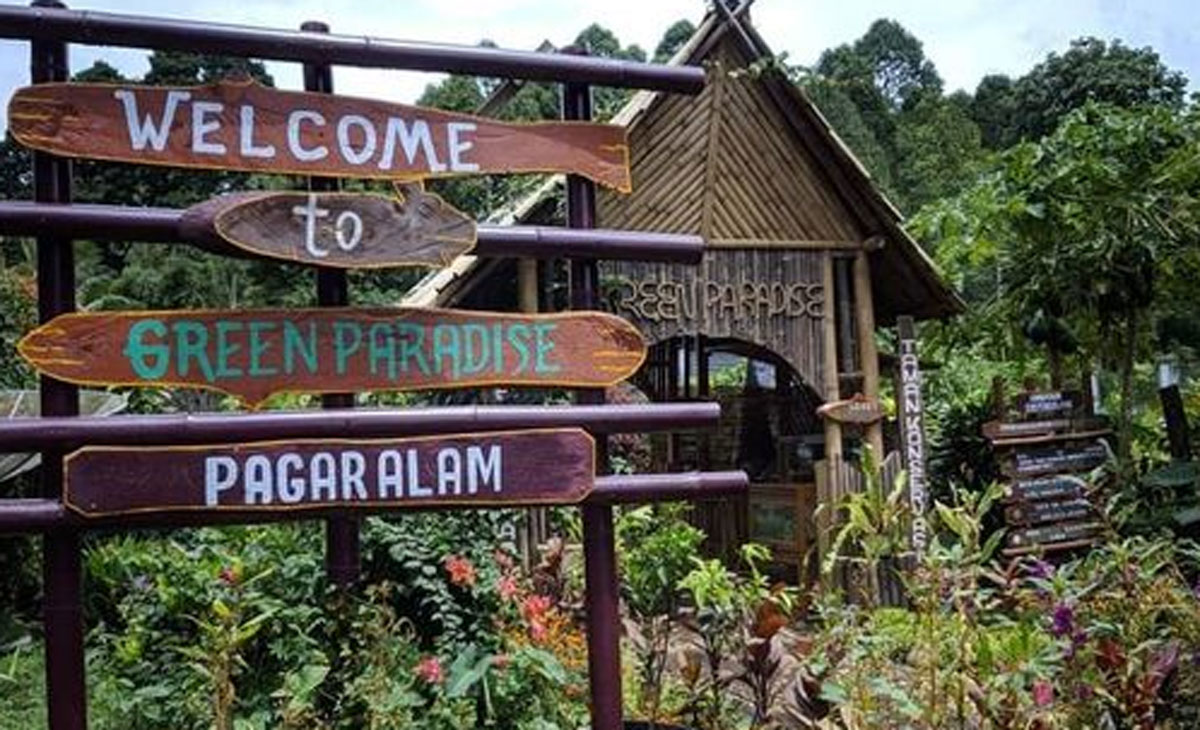 Serunya Menjelajahi Green Paradise Pagaralam: Nikmati Air Terjun Mini dan Tantangan Flying Fox!