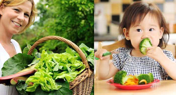 Sayuran Hijau: Asam Folat, Flavonoid, dan Vitamin untuk Fungsi Kognitif Anak