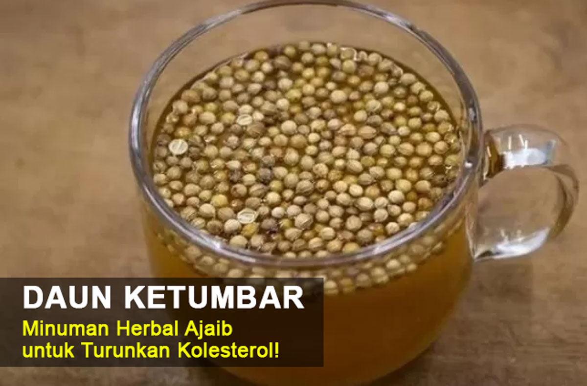 Daun Ketumbar Salah Satu Minuman Herbal Ajaib untuk Turunkan Kolesterol! Langsung Coba & Cek Khasiatnya!