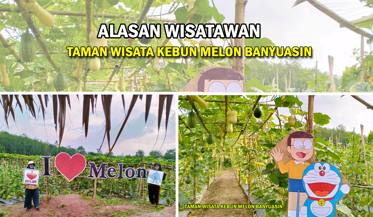 Alasan Wisatawan! Datang Ke Taman Wisata Kebun Melon di Banyuasin, Dekat Taman Kota Pangkalan Balai Lho!