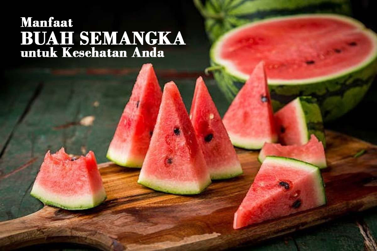 Lezatnya Dalam Setiap Gigitan Inilah Manfaat Buah Semangka Untuk Kesehatan Anda Simak Jangan 0267