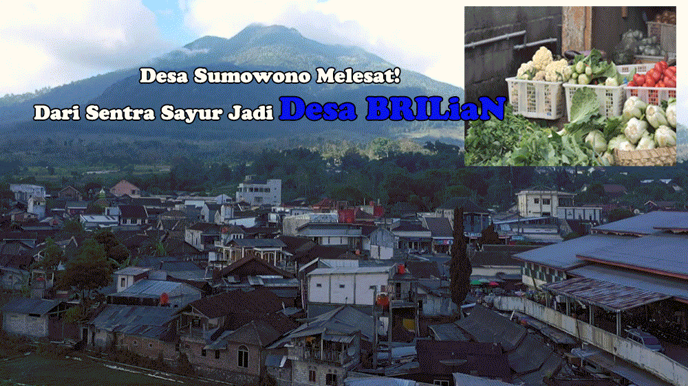 Desa Sumowono Melesat! Dari Sentra Sayur Jadi Desa BRILiaN Berkat Inovasi dan Dukungan BRI