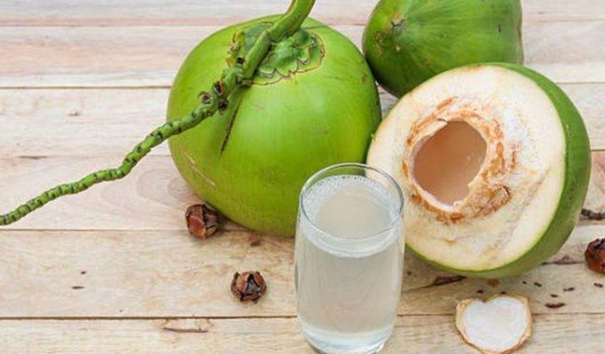 Air Kelapa: Solusi Alami untuk Rehidrasi dan Pencegahan Batu Ginjal!