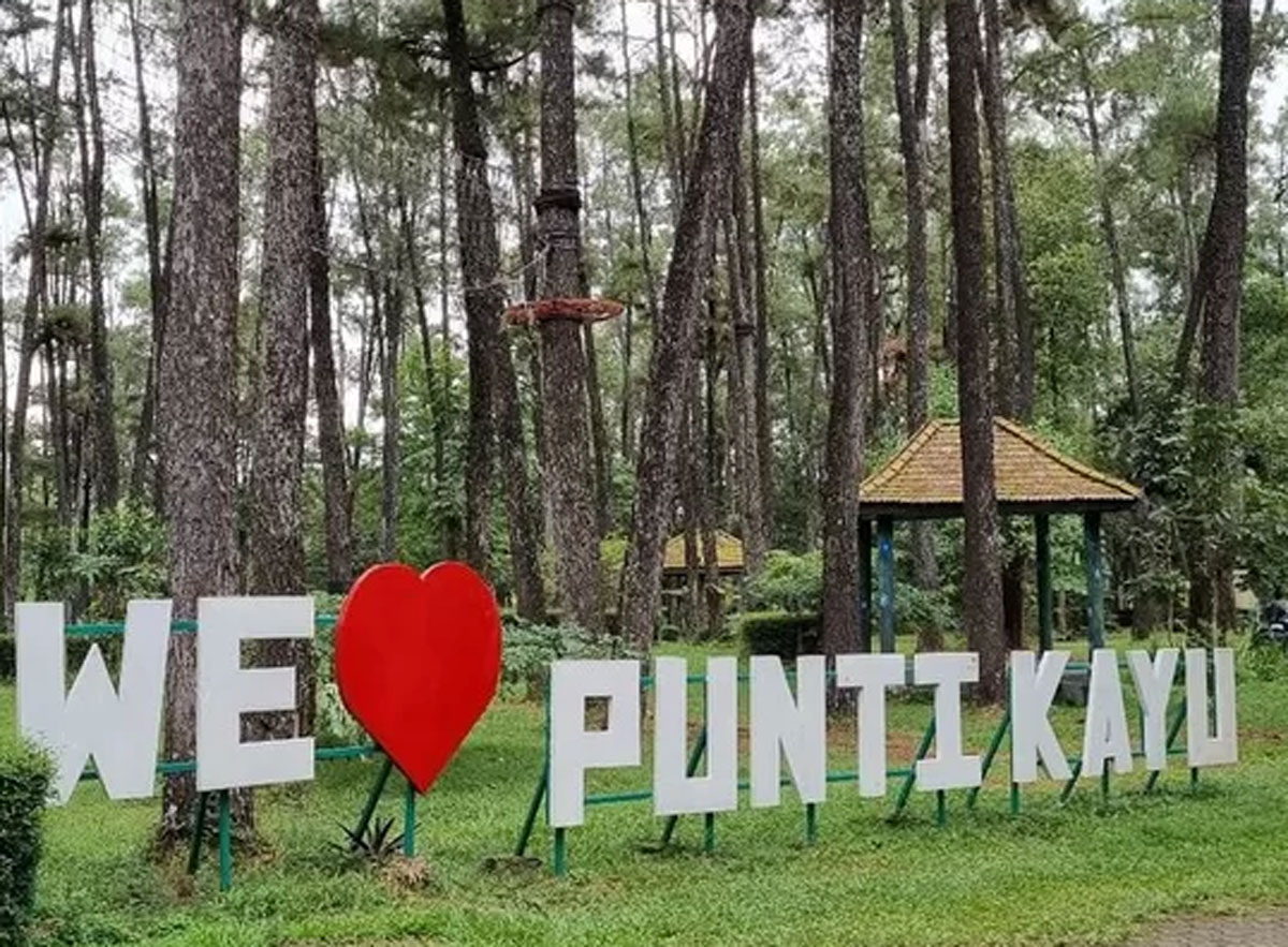 Eksplorasi Keindahan Flora dan Fauna di Taman Wisata Alam Punti Kayu: Oase Hijau di Tengah Kota Palembang