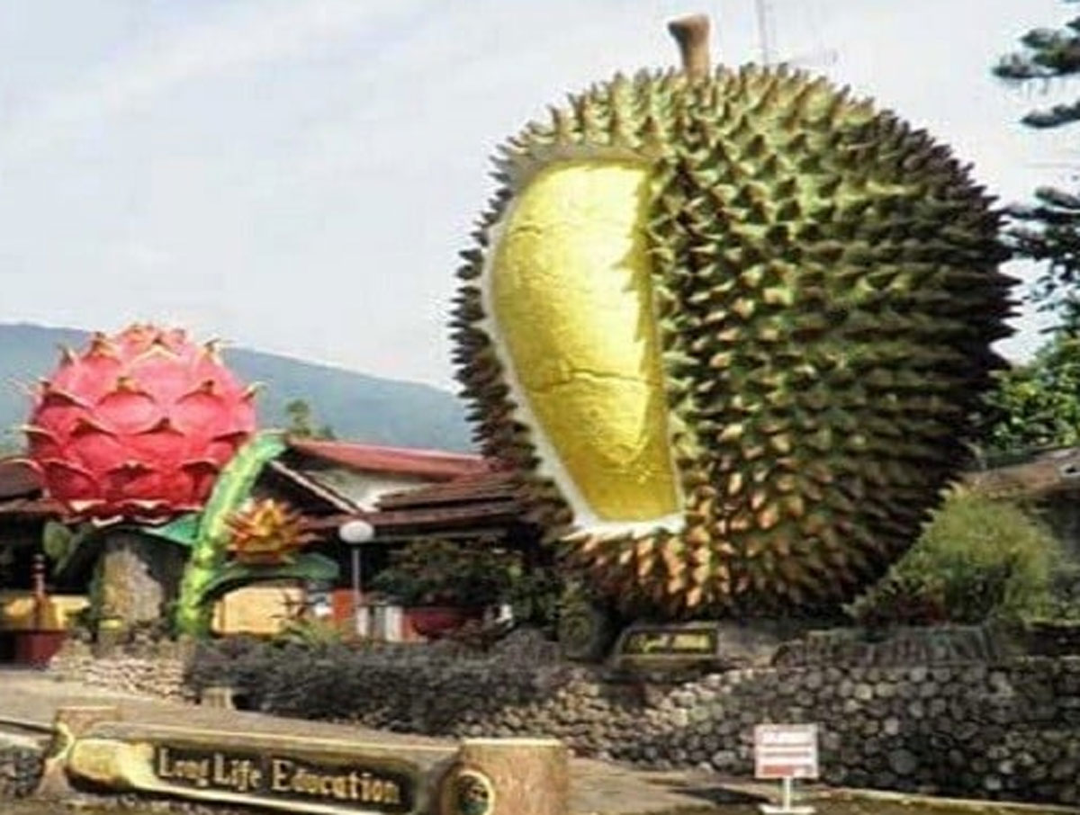 Menikmati Sensasi Petik Durian di Warso Farm, Bogor