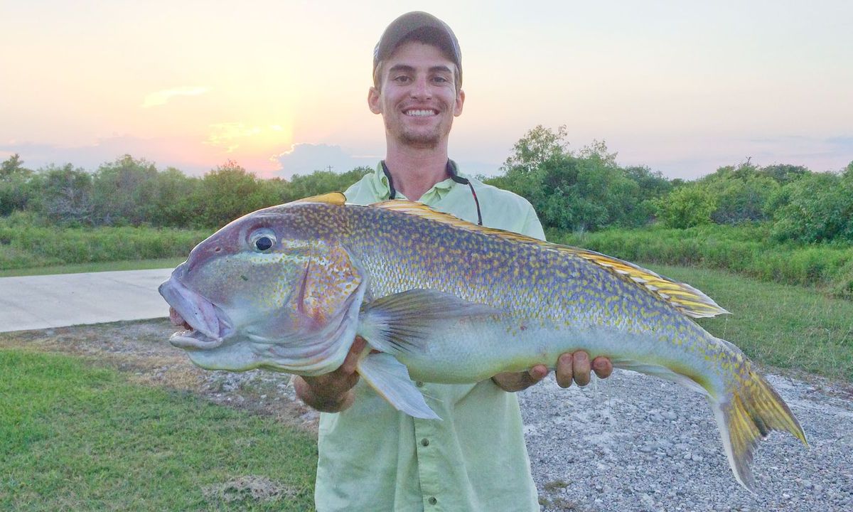 8 Makanan yang Dapat Merusak Rambut, Salah Satunya adalah Ikan