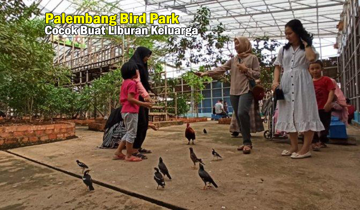 Palembang Bird Park, Tempat Wisata Terfavorit Bagi Anak-anak dan Keluarga di Palembang, Nataru Rame Disini !