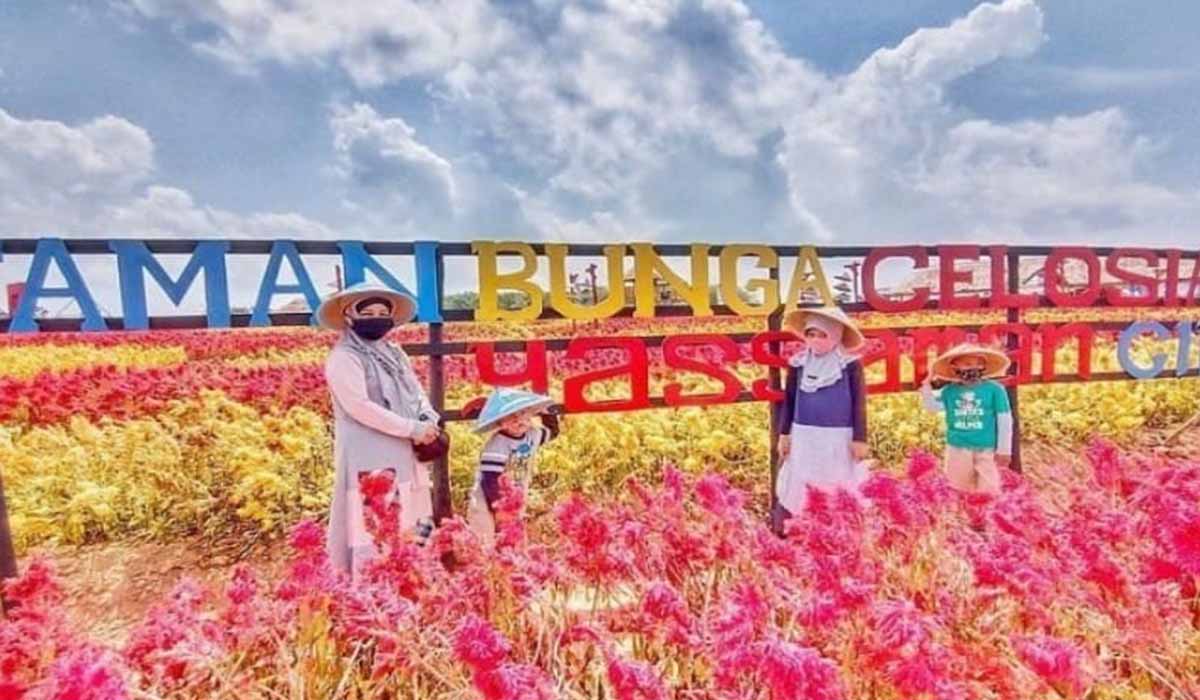 Buat Kamu Sang Pecinta Bunga? Kampung Wisata ' Ya Saman Cindo ' Solusinya! Serasa di Taman Syurga