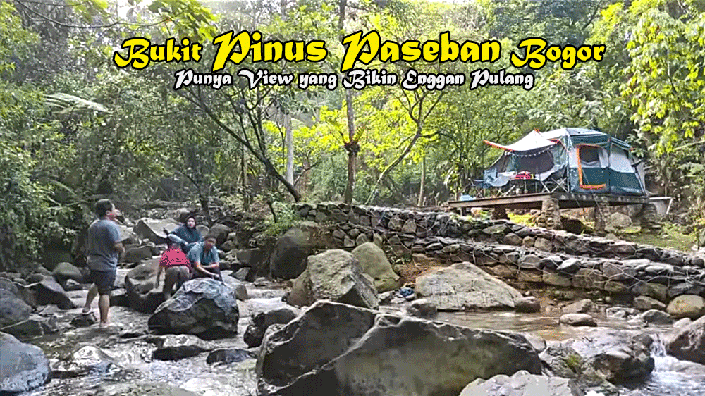Cuma Modal Motor dan Tenda, Bukit Pinus Paseban Bogor Punya View yang Bikin Enggan Pulang