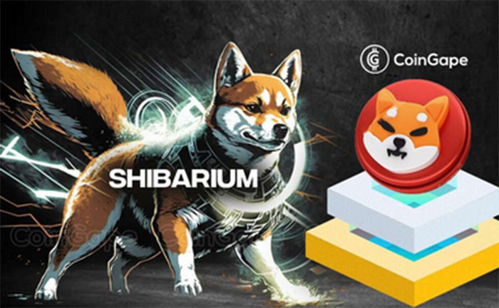 Shibarium: Membedah Era Baru Aset Digital - Antusiasme, Tantangan, dan Kejutan yang Menanti