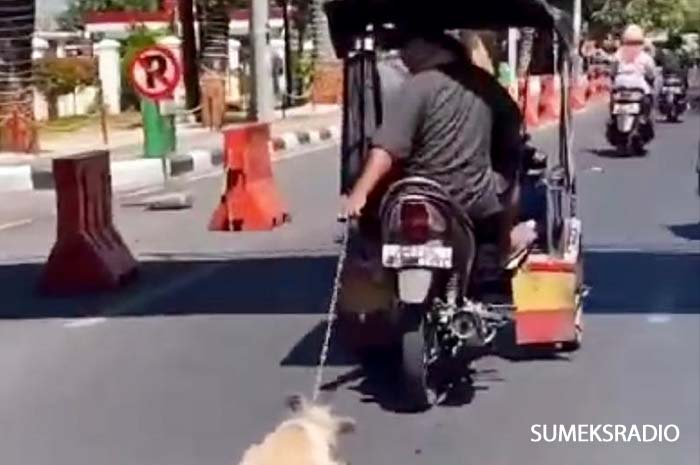 Polisi Makassar Sedang Menyelidiki Video Viral Pengemudi Becak Motor yang Menyeret Anjing Peliharaan