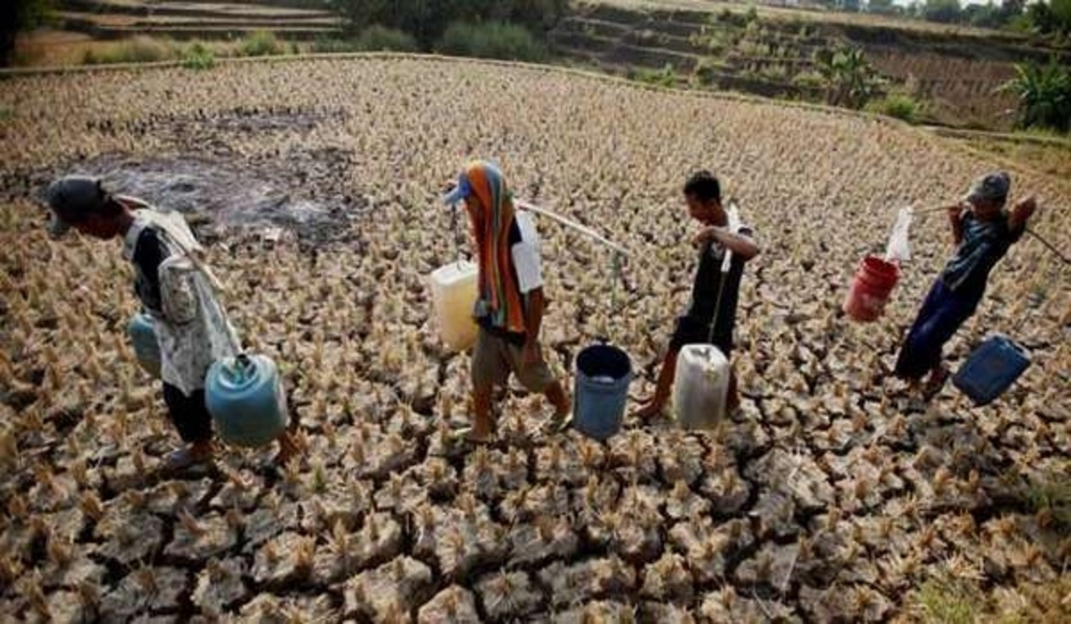Fenomena El-Nino Sulitkan Warga Banyuasin Cari Sumber Air Bersih dan Bertani 