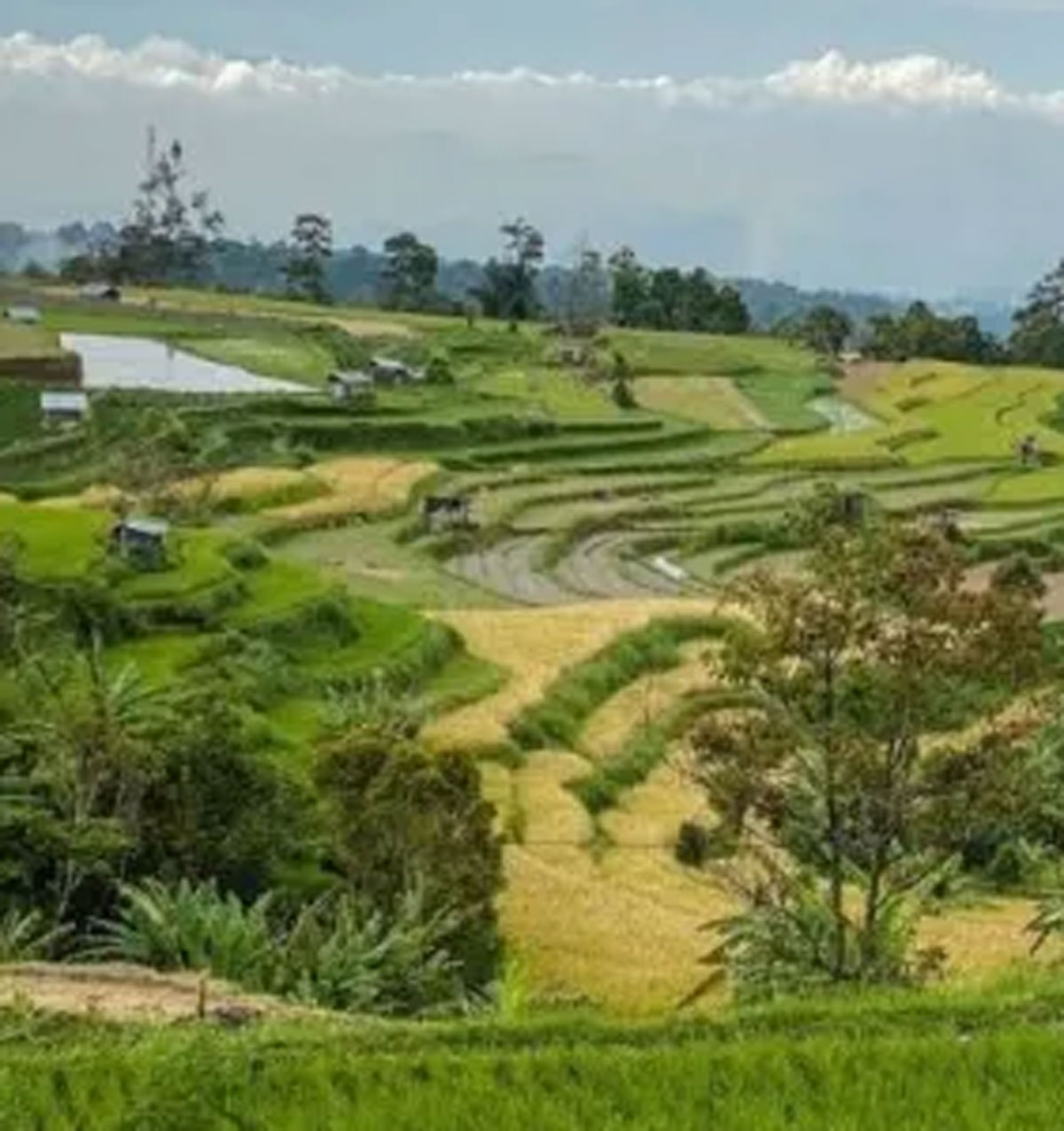 Menyelami Keajaiban Alam: Tiga Desa Terpilih di Sumatera Barat yang Memukau Jiwa