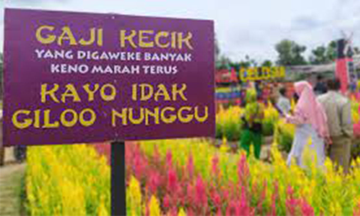 Menakjubkan! Taman Bunga Celosia Palembang, Menawarkan Spot Foto dan Reflika Bangunan Menara Eiffel