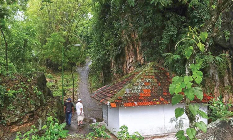 Bukit Surowiti: Tempat Nongkrongnya Wali Songo dan Spot Camping Mistis Anti Mainstream!