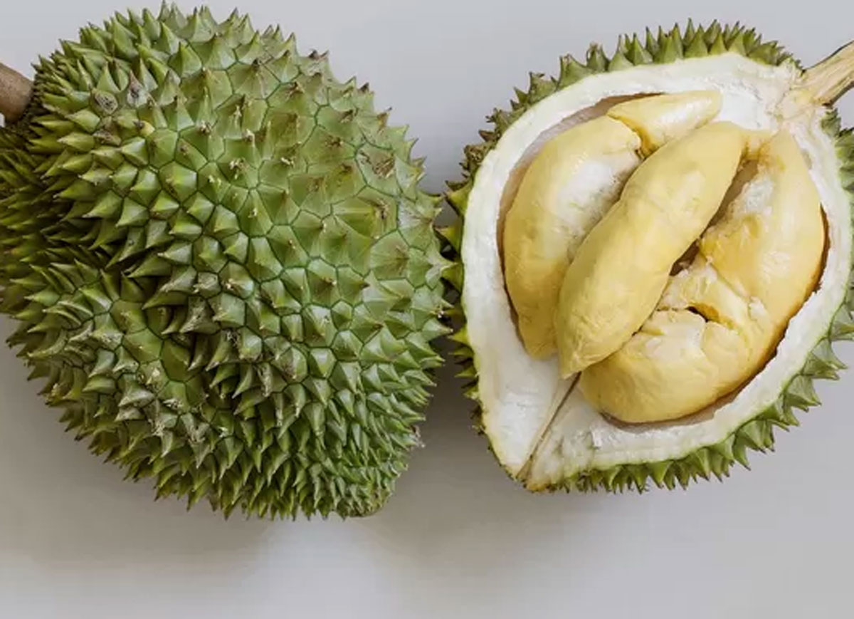 Perhatikan Duri Durian untuk Menilai Kualitasnya: Langkah Ketiga Memilih Durian yang Sempurna