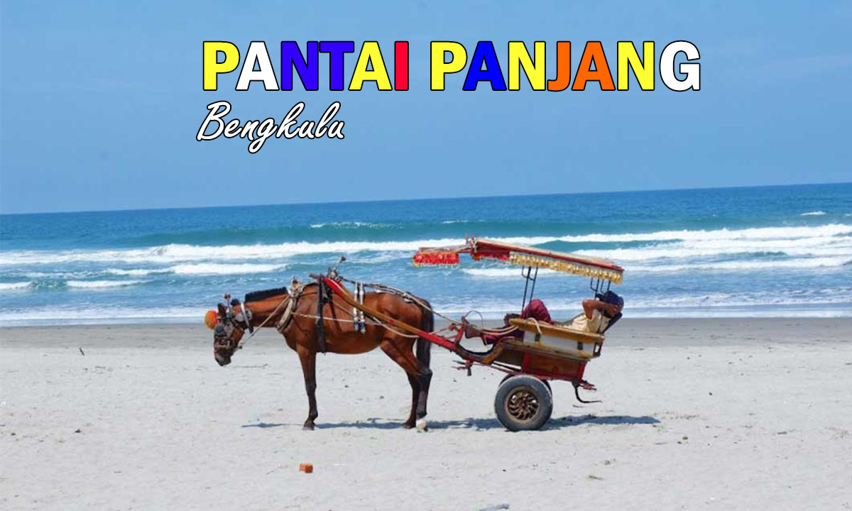 5 Alasan Pantai Panjang Bengkulu, Menjadi Objek Wisata Paling Banyak Diminati dan Dikunjungi, Seru Banget !