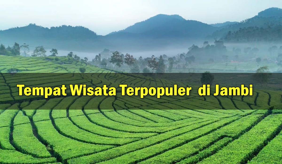 Destinasi Wisata yang Menakjubkan di Kota Jambi! Keindahan alam yang Memukau, ini dia Tempatnya !