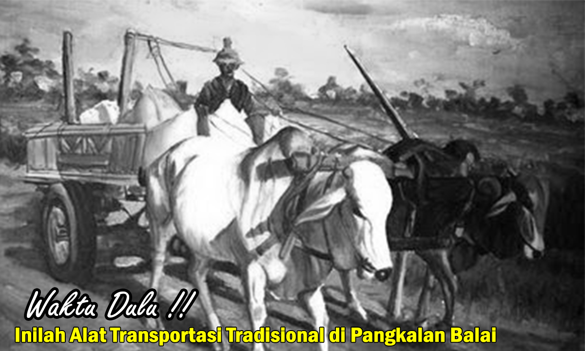 Waktu Dulu! Inilah Alat Transportasi Tradisional di Pangkalan Balai tahun 1970,Budaya dan Sejarah di Banyuasin