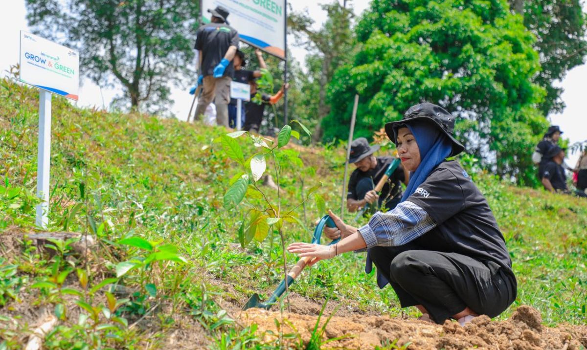 BRI Menanam: Kolaborasi Selamatkan Hutan dan Tingkatkan Kesejahteraan Masyarakat