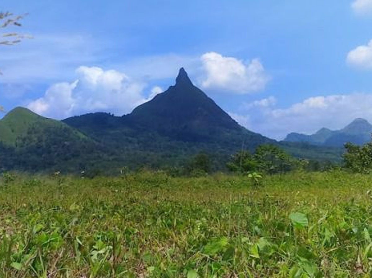 Pesona Bukit Jempol, Destinasi Alam Eksotis di Kabupaten Lahat