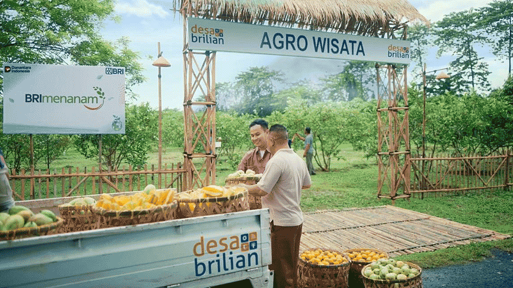 Program CSR BRI  Raih Pengakuan Global Lewat Dua Penghargaan Internasional