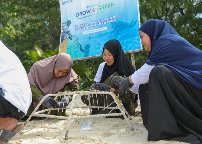 BRI Menanam–Grow & Green di Pulau Kapoposang: Sinergi Masyarakat & Perbankan Lestarikan Surga Bawah Laut