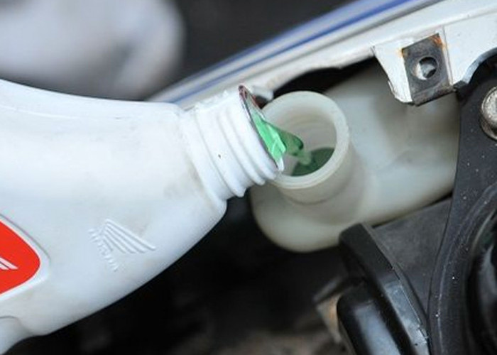 Radiator Coolant: Panduan Memilih Air Pendingin Terbaik untuk Kendaraan Anda