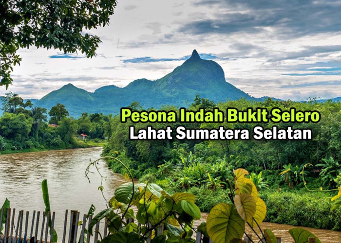 Mari Berpetualang! Bukit Selero, Pesona Indah di Lahat Sumatera Selatan