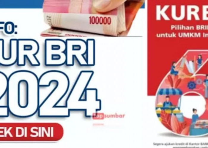 KUR BRI, Solusi Permodalan UMKM: Mudah dan Terjangkau